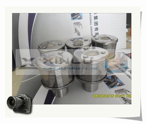 Van het het Schermwater van de wigdraad van de de Behandelingsfilter Pijp 148mm Ingepaste het Wijfje van SS316L BSPT